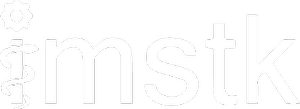 IMSTK Logo